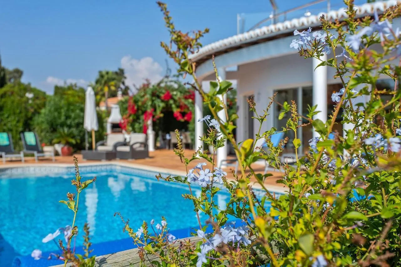 Casa Polgoda Luxury Villa With Ocean Views Carvoeiro  0*, Carvoeiro (Lagoa) Portugalsko